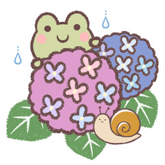 カエルと紫陽花とカタツムリと雨