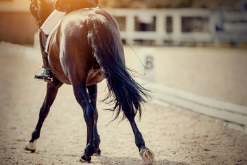 Equestrian sport. The fluttering tail of a horse. The legs of a dressage horse galloping. - 451188449
