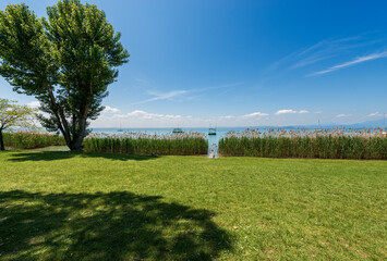 Beautiful coastline of the Lake Garda (Lago di Garda) with a green meadow, trees and reeds near the small village of Bardolino and Garda, Tourist resort in Verona province, Veneto, Italy, Europe.