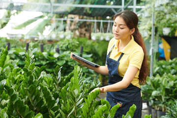 Young woman working in gardening center, she is checking if plants need to be watered