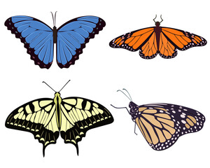 Fototapeta na wymiar Set of realistic beautiful butterflies vector illustration. Collection of moths yellow orange blue and beige. Symmetrical graceful butterflies.