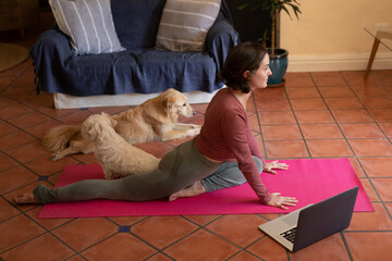 Obraz na płótnie Canvas Caucasian woman in living room with her pet dogs, practicing yoga, using laptop