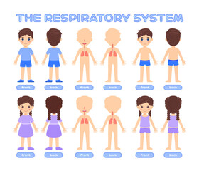 Human Respiratory System in a Cartoon Style. Little Boy and Girl in Underwear, Clothes. Silhouette of a Child and lungs. Front Back View. Set. Illustration for a Lesson in Biology and Anatomy. Vector