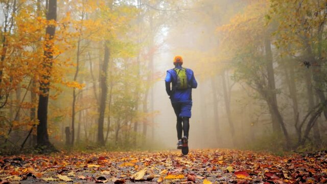 Runner in a misty colorful autumn forest with deciduous trees and falling leaves. Slow motion and dreamy shallow focus
