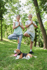 Obraz premium Couple making yoga exercises while standing at the one leg and looking aside seriously
