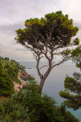 View towards the old town from the cliffs of Boninovo, Dubrovnik, Croatia
