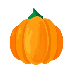 orange pumpkin isolated on a white background
