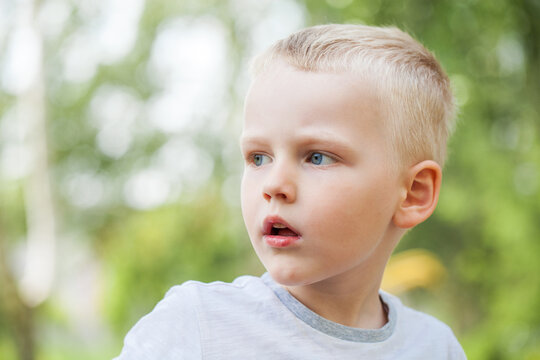Blonde little boy in a summer park