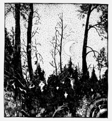 Hand drawn vector illustration with trees and moon. Night landscape. 
