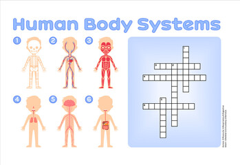 Crossword puzzle for Children. Human Body Systems. Muscular, Skeletal, Nervous, Digestive, Respiratory, Circulatory. Cartoon style. Page from the Workbook for Printing. Education Game for Kids. Vector