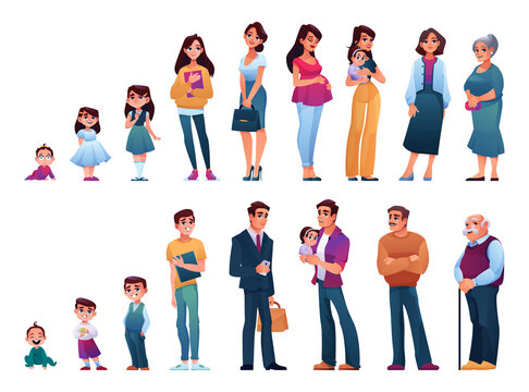 Male and female human aging and growth. Newborn and toddler, preschool and pupil, student and teenager, adult and mature person, senior man and woman on pension. Flat style cartoon character, vector