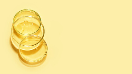 Top view of the petri dish staying on each other with bubbles inside.Warm yellow background with...