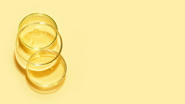 Top view of the petri dish staying on each other with bubbles inside.Warm yellow background with copy space.Mockup concept,place for design.Large banner with copy space.