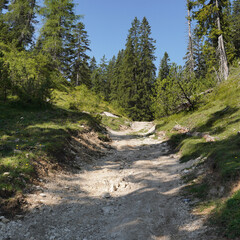 MTB-Runde um den Unnütz: Kleiner Downhill am Kögljoch