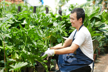 Happy young man in denim apron and textile gloves enjoying working with plants at flower market