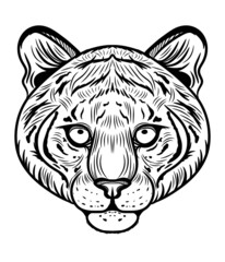 The face of a tiger. A beautiful animal. Big eyes. A wild animal. Beautiful ears. Outline for coloring. A tattoo.