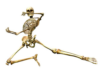 3D Rendering Human Skeleton on White