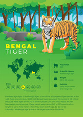 Animal Infographic Series - Bengal Tiger