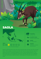 Animal Infographic Series - Saola
