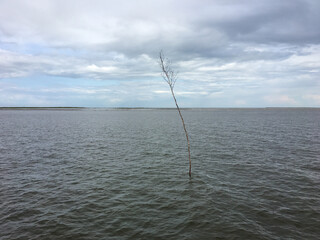 A Pricke in the Wadden Sea on the North Sea in East Frisia. Made out of Birch it helps ships to navigate like Buoys do