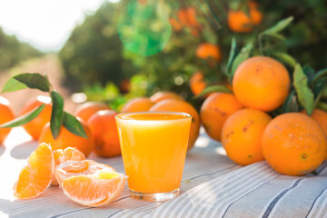 orange juice and oranges on table in orchard