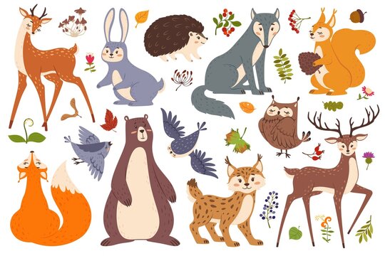Forest wildlife animals and birds, cute woodland animal. Deer, fox, bear, squirrel, hedgehog, wolf, rabbit. Forest leaves, berries vector set. Plants and funny characters, flora and fauna