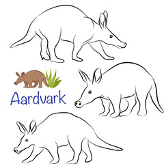 doodle style hand drawn, Cute Aardvark Cartoon Vector Illustration