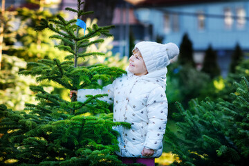 Adorable little toddler girl holding Christmas tree on market. Happy healthy baby child in winter fashion clothes choosing and buying big Xmas tree in outdoor shop. Family, tradition, celebration.