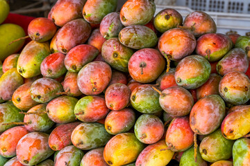 Tropical fruit, ripe red mango close-up