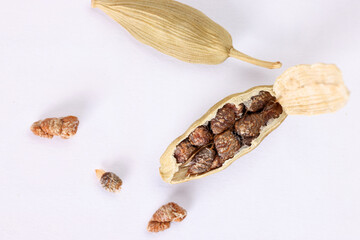 Cardamom fragrant spice seed closeup macro on white background