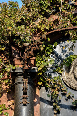 Detailaufnahme Friedhof