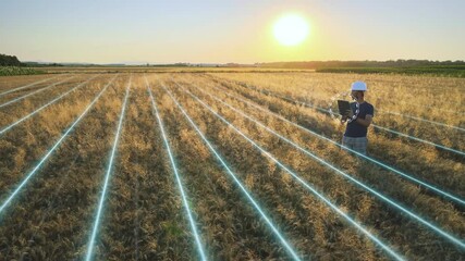 Agricultural future technology concept, farmer analysing crop, infographics - Powered by Adobe
