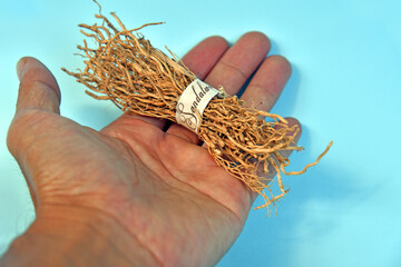 Sandal wood as aromateraphy isolated on color background