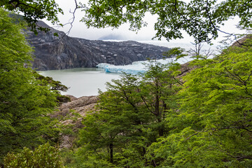 Grey Lake and glacier head, Patagonia