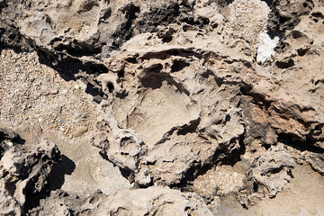 the sea coast in the form of bottom sediments flooded with seawater with the formation of salt...