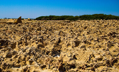 the sea coast in the form of bottom sediments flooded with seawater with the formation of salt...