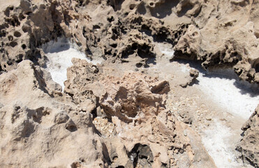 the sea coast in the form of bottom sediments flooded with seawater with the formation of salt patterns and sea lagoons in the form of textures and stone abstractions under water with shadows from the