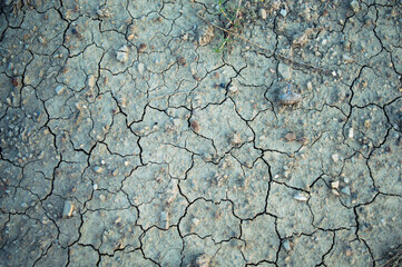 Closeup of dry soil. background and texture
