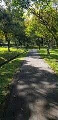 Path in a park