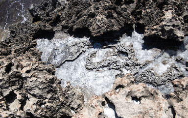 the sea coast in the form of bottom sediments flooded with seawater with the formation of salt...