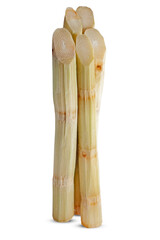 Sugar cane isolated on white background