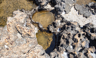 the sea coast in the form of bottom sediments flooded with seawater with the formation of salt...