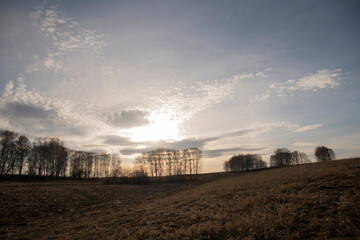 sunset over the field
