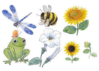 watercolor set with frog, bumblebee, flower, dragonfly and sunflowers