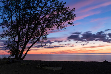 Obraz na płótnie Canvas Silhouetted tree on shore line with vibrant colors of a sunset sky