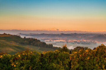 Panorama of the vineyards, in autumn, in the Langhe, Piedmont, Italy