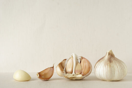 composition of garlic cloves, garlic bulb and peeled garlic placed on beige background against beige wall with soft light in the morning.