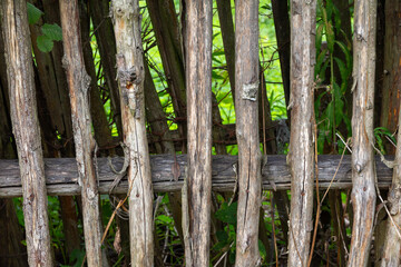 old wooden fence in the garden