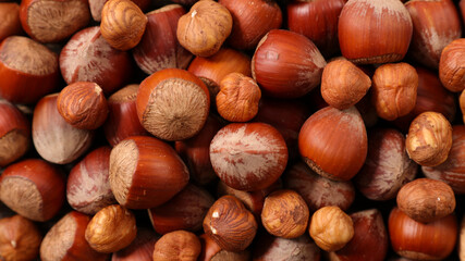 dried fruit,  hazelnut background- top view