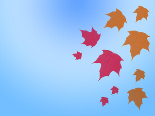 Falling autumn leaves on a blue background